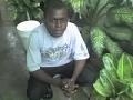 inipaul2003 (inipaul2003)